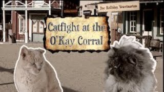 "Catfight at the O'Kay Corral" - Part 2 of "Adventures in Purradise" Cat Pun Parodies