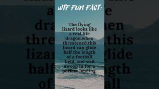 WTF FUN FACT : 2