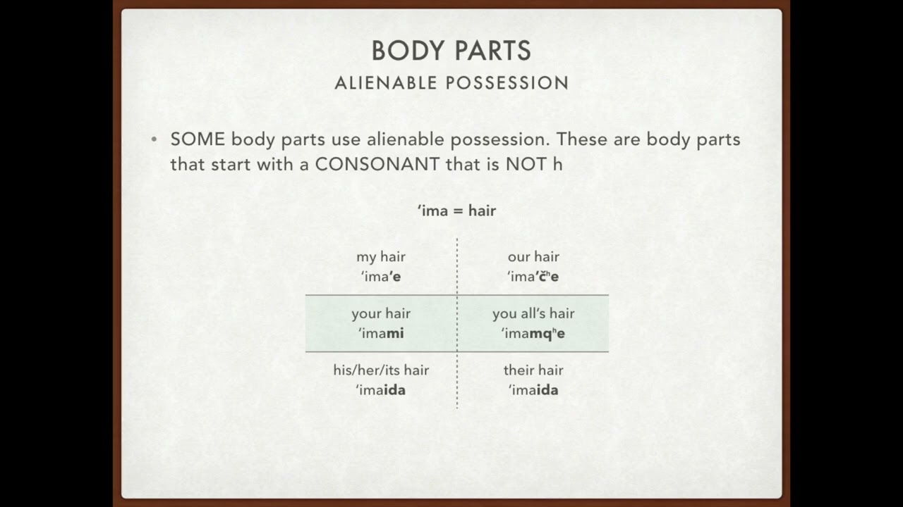 Chimariko Possession: Alienable and inalienable