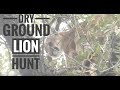 Arizona dry ground lion hunt