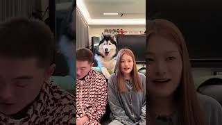 Esta Prueba Mostró A Quién Amaba Más El Perro! #curioso #increíble #interesante