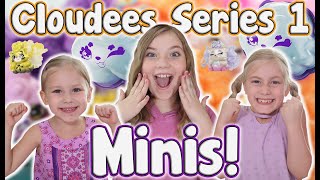 Cloudees Minis Series 1 Every Hack Code