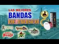 Las mejores bandas de jalisco