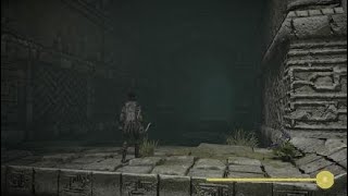 SHADOW OF THE COLOSSUS: HIDDEN MANDALA INSIDE G-6 TEMPLE.