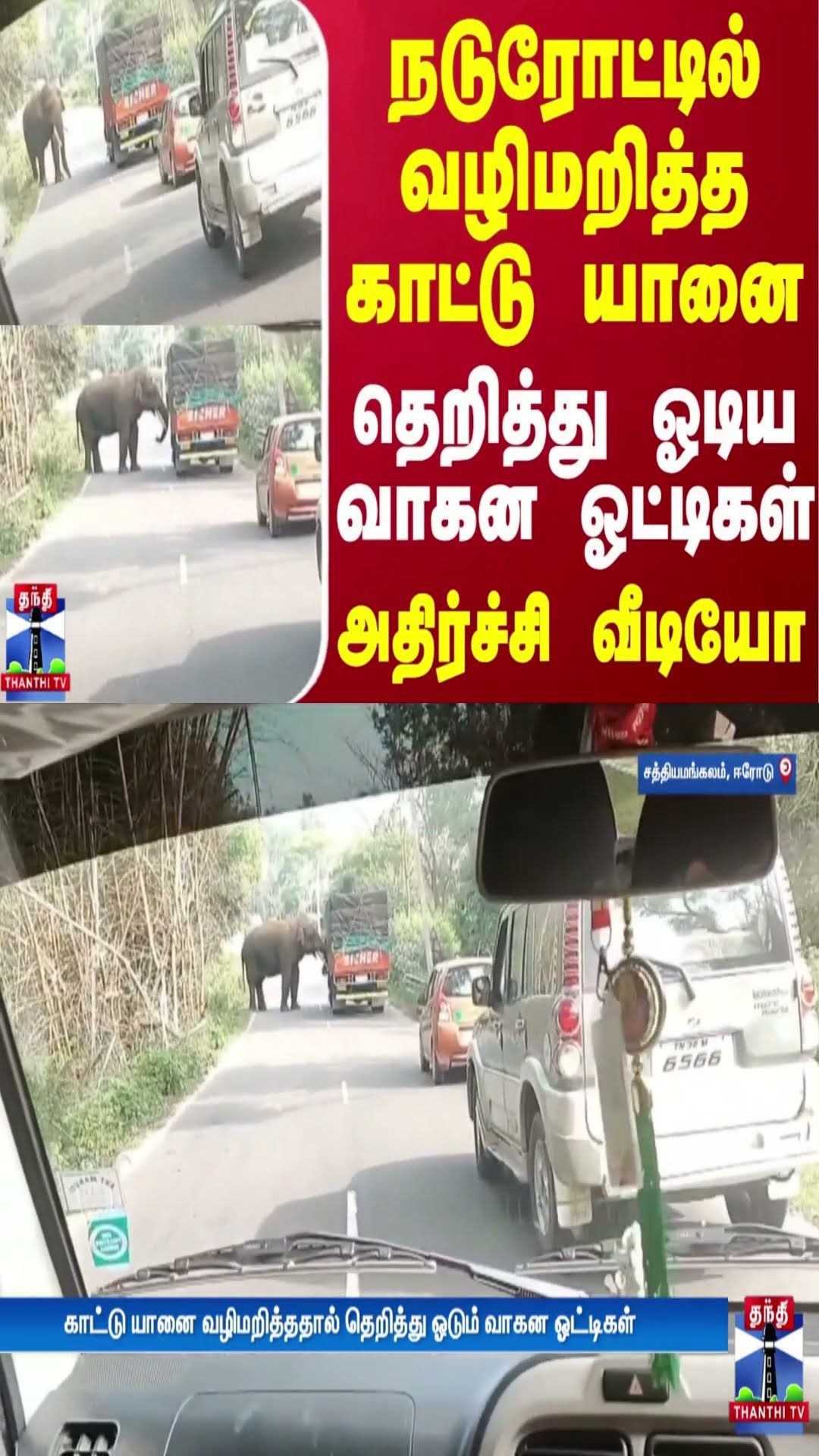 நடுரோட்டில் வழிமறித்த காட்டு யானை.. தெறித்து ஓடிய வாகன ஓட்டிகள் - அதிர்ச்சி வீடியோ