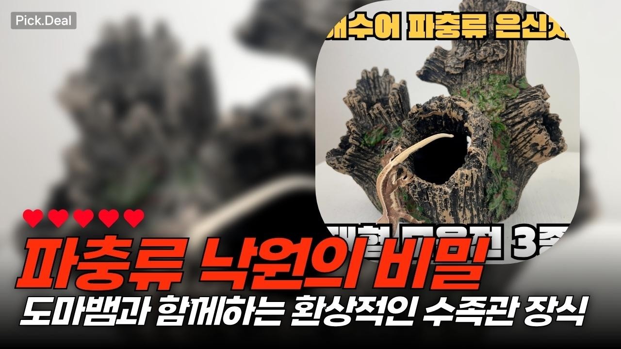 파충류 애호가 주목! 1등급 은신처로 만드는 아늑한 수조
