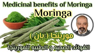مورينجا | الفوائد الصحيه و الطبيه| moringa | medicinal benefits