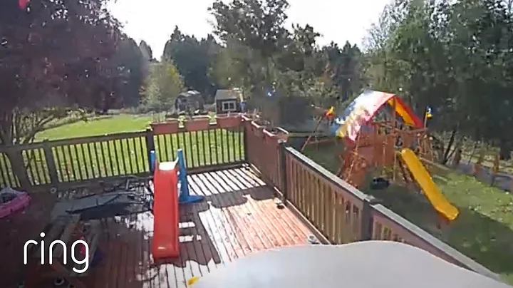 Mystery Of A Fallen Tree Solved & Earthquake Rattl...