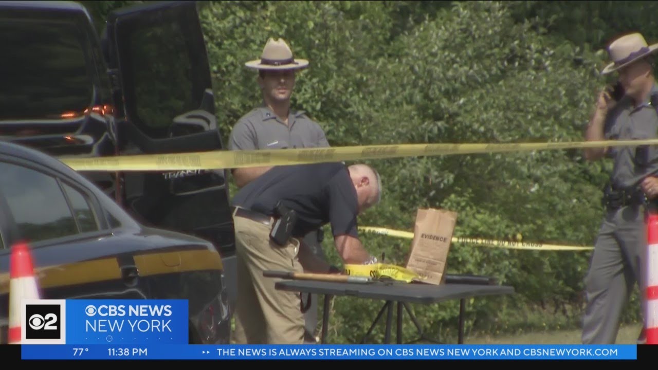 Human remains found in Islip last week identified as Isaiah Henriquez