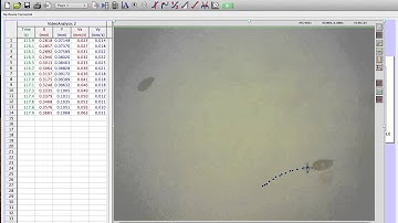Logger Pro example