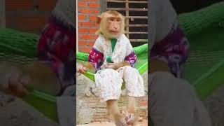 Download Lagu Yun Diayun // short video MP3 Download Lagu Yun Diayun // short video MP3