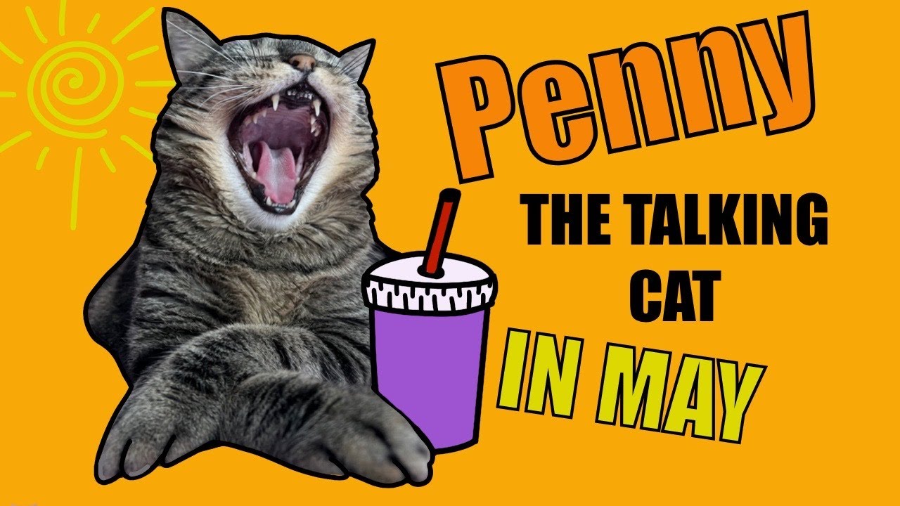 Penny the talking cat, adventures in May! YouTube