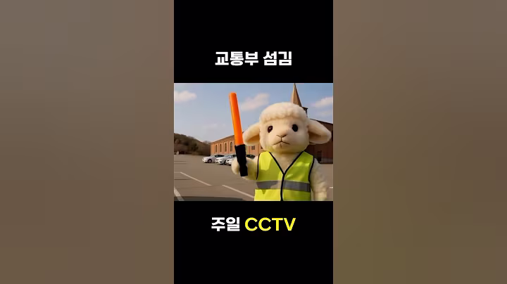 교회 다니는 사람들의 주일 모습 #주일교회 #신앙생활