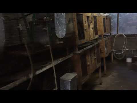 ესაა ჩვენი საამაყო ქართველობა!!