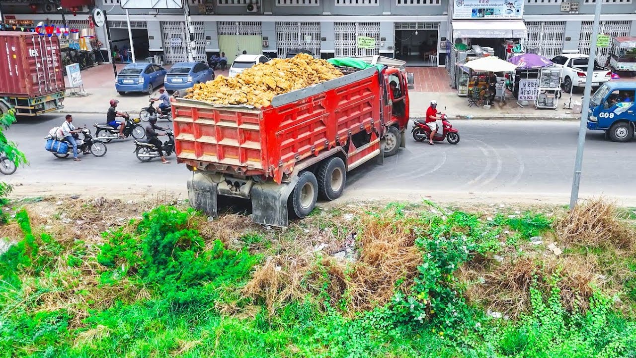 Wonderful Start  Project Landfill by Best Driver Dump Trucks unloading Soil & Pushing Clear by Dozer