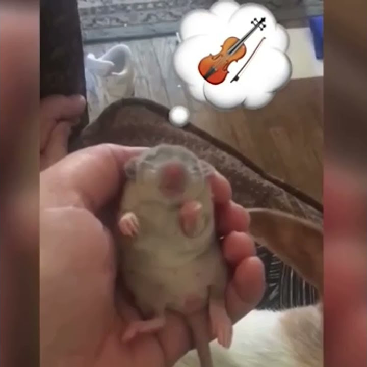 most-saddest-piano-song-ever-very-dramatic-youtube