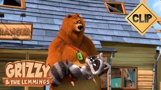 Grizzy finds a baby racoon so cute ! - grizzy & the Lemmings