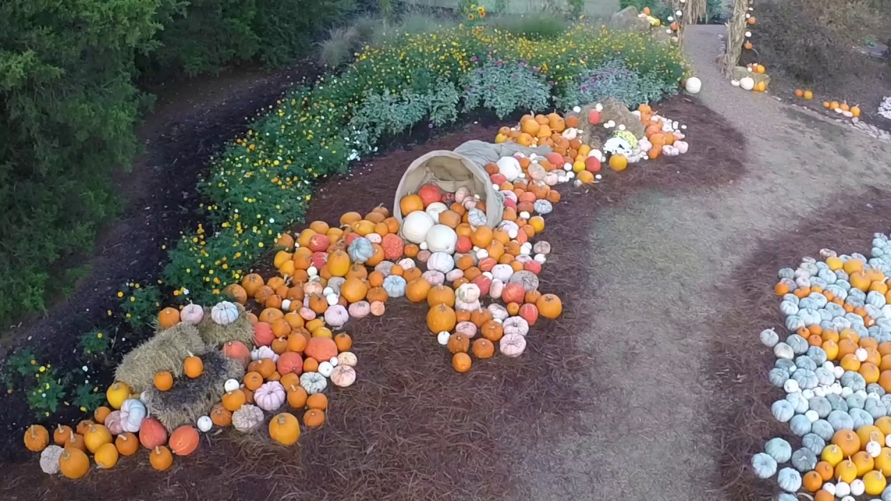 Huntsville Botanical Gardens Pumpkin Display October 29 2016