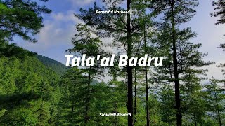Muad-Tala-al Badru (Vocals only)-Perfectly Slowed/Reverbed