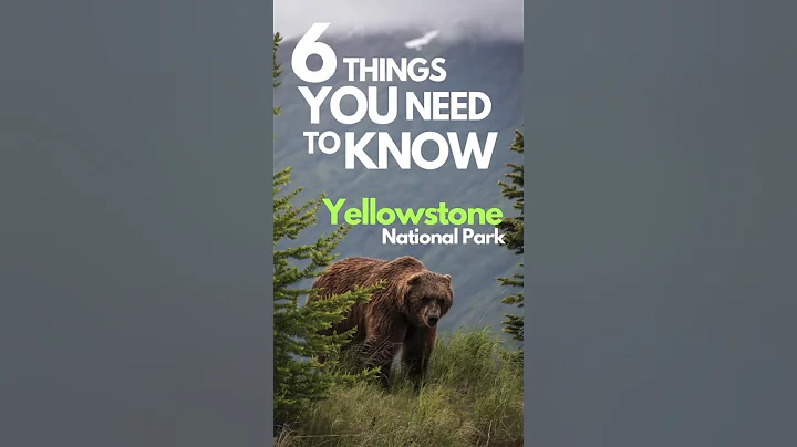 ⚠️ 6 Things you NEED To Know before visiting Yellowstone National Park! 🦬⛰️ #travel #yellowstone