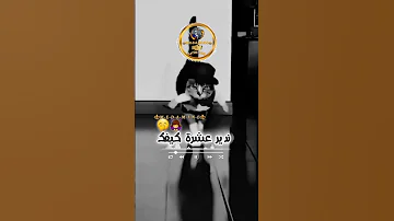 ترفدي عليا نيفك 