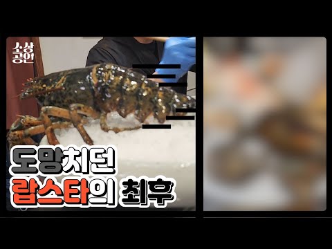 일본에서 오마카세를 배우고, 뉴질랜드 일식 레스토랑 헤드 셰프로 활약한 일식 경력 22년 차 사장님이 차린 오마카세 전문점