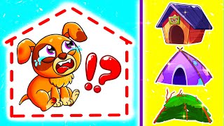 Who Took My Pets Home? Funny Songs For Baby Yum Yum Kids Songs