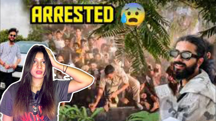 Pakistani reaction On Socha Nahi Tha Elvish Yadav Bhai Ke Sath Itna Bada Meetup Ho Jayega 😭