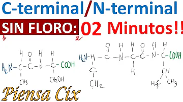 O que é Carboxila e amino terminal?