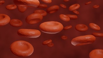 How to make a red blood cell or rbc on blender?