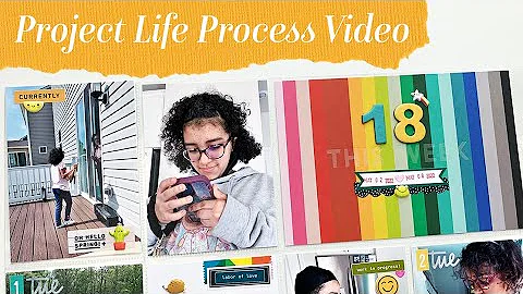 Project Life Process Video- Project Life 2022 Usin...