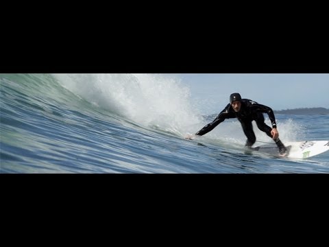 Video: Tofino je pro psy