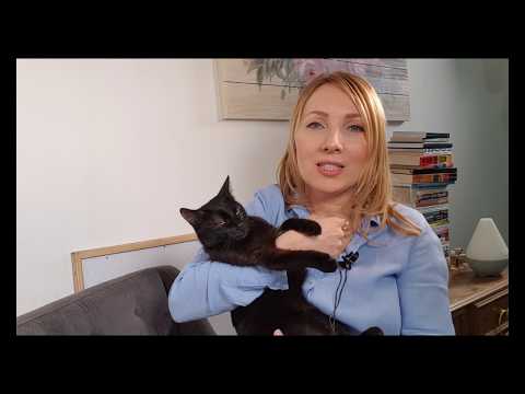 Video: Siguranța Comprimatelor Masticabile Cu Aromă De Lotilan (Credelio TM) După Administrarea Orală La Pisici