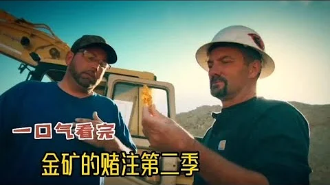 金矿赌注第二季，今年他们能否超越上一季，实现黄金梦，我们拭目以待！ - 天天要闻