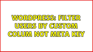 Wordpress: Filter users by custom colum not meta key