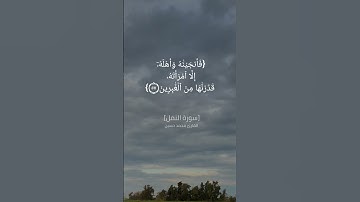 سورة النمل الآية ٥٥و٥٦و٥٧و٥٨ بصوت القارئ محمد حسين #القرآن