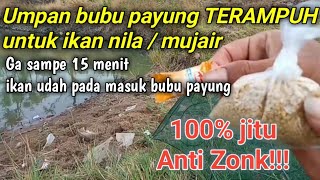 Umpan bubu payung ikan nila / mujair paling jitu ampuh auto panen | Fish trap