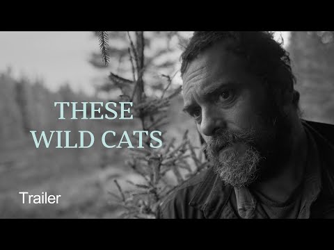These Wild Cats | Trailer
