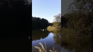 Malacky 29.9.2018 Rybníky