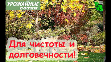 Зачем использовать ЛИМОННУЮ КИСЛОТУ в огороде осенью?