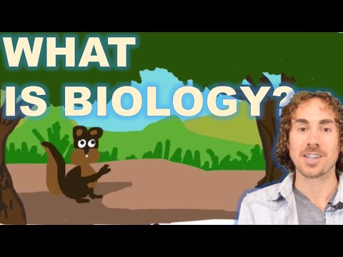 What is Biology? The Characteristics of Life. - YouTube