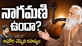నాగమణి ఉందా? | Aravind Aghora Revealed Shocking Facts About Nagamani | Aravind Aghora | TNN