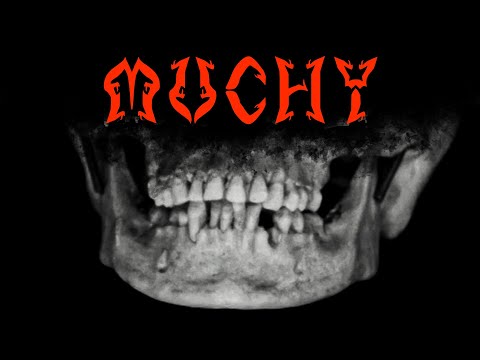 Muchy - "Flies" - The Tsushinki Poltergeist チャネル5 [Channel Five] - Found Footage Music Video