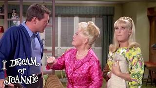 Tonys Mother Finds Him The Perfect Woman I Dream Of Jeannie