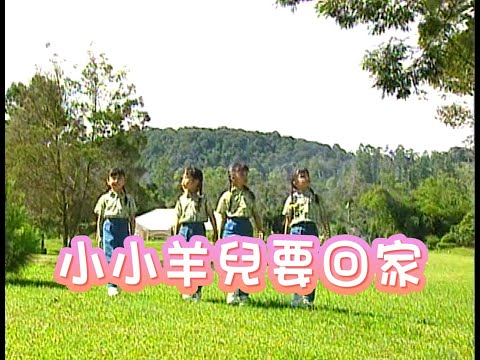 四千金 小小羊兒要回家 兒歌 儿童歌曲 歡樂童謠