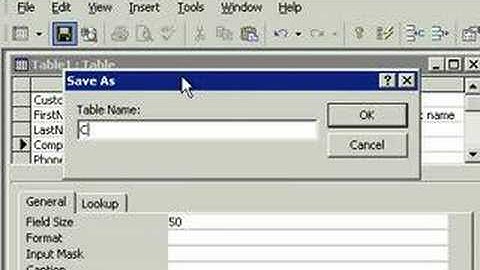 599CD Microsoft Access Tutorial 101.8