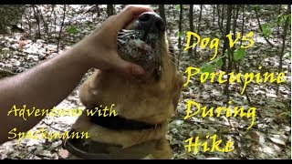 Dog VS Porcupine during hike. Moreau State Park Hike