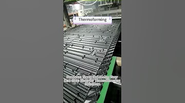 Inside the Thermoforming Process: Custom Solutions for Your Unique Needs