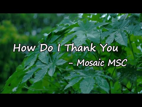 Mosaic MSC   How Do I Thank You Lyrics