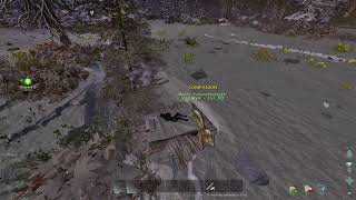 Lost Colony Day 1 Ark Ascended Smalltribes Live Season 7